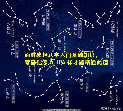 面对易经八字入门基础知识，零基础怎 🌼 样才能精通此道